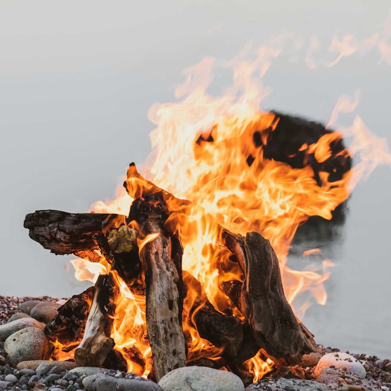Bush Braais & Breakfasts
